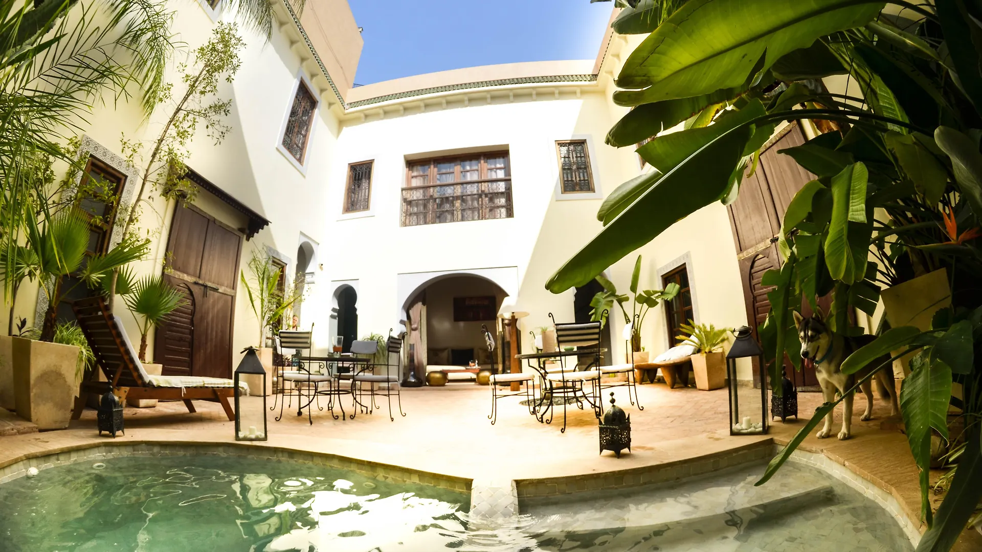 Riad Les Ammonites And Spa Marrakesh